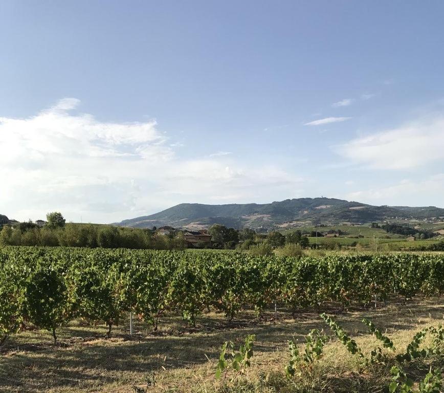 La Boheme, Gite De Charme Quincié-en-Beaujolais Dış mekan fotoğraf