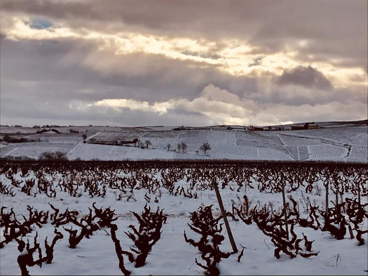 La Boheme, Gite De Charme Quincié-en-Beaujolais Dış mekan fotoğraf